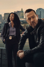 Imagen de Boston Blue (T1): Ep.11 Secretos de familia - 4