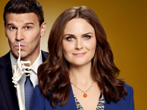 Imagen de Bones (T12): Ep.2 El cerebro en el robot - 1