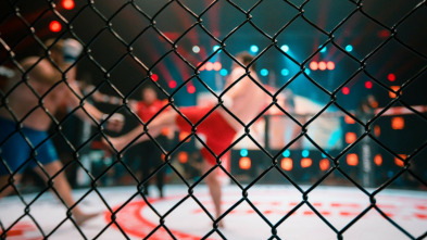 Imagen de UFC 232: Jones vs... (2018): Jon Jones vs Alexander Gustafsson - 3