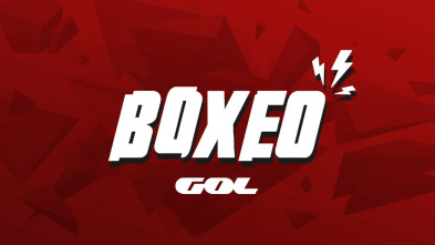 Imagen de Boxeo: velada Andrade vs Akavov (2019) - 3