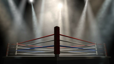 Imagen de Boxeo: Combate Mike Tyson vs Frank Bruno - 3