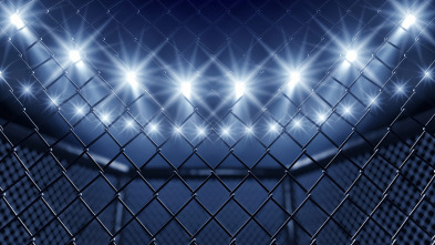 Imagen de AFL 38 (2025): Jefferson Batista vs Madalin Elisie - 3