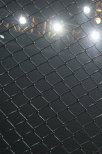 Imagen de UFC 110: Nogueira vs Velasquez (2010) - 2