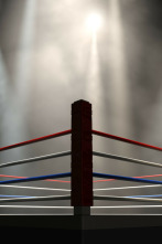 Imagen de Boxeo: Combate Mike Tyson vs Frank Bruno - 2