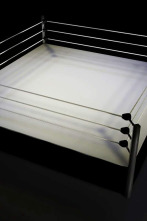 Imagen de ONE Friday Fights... (2025): Kompet Sitsarawatsuer vs Abdallah Ondash - 2