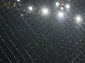 Imagen de Ultimate Fighting Championship - 1