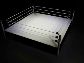 Imagen de Ultimate Fighting... (2009): Brock Lesnar vs Frank Mir - 1