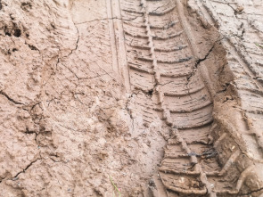 Imagen de RallySprint LATAM (2025) - 1