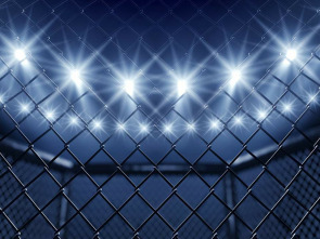 Imagen de ONE Fight Night... (2025): Roman Kryklia vs Samet Agdeve - 1