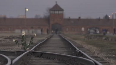 Auschwitz: cartas desde el infierno