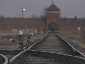 Auschwitz: cartas desde el infierno