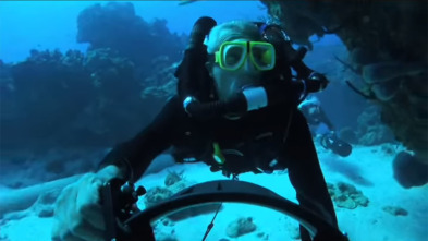 Imagen de The Cove - 3