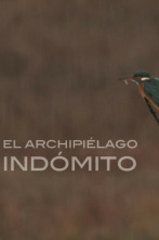 Imagen de L'arxipèlag indòmit - 2