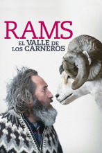 Imagen de Rams (la vall dels Moltons) - 2