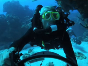 Imagen de The Cove - 1