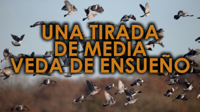 Imagen de Una tirada de media veda de ensueño - 3