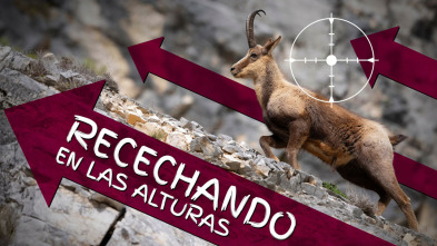 Recechando en las alturas