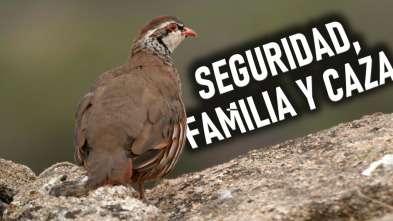 Seguridad, familia y caza