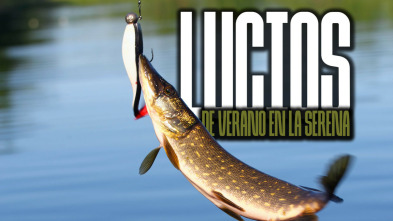 Lucios de verano en santillana