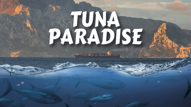 Imagen de Tuna paradise - 3