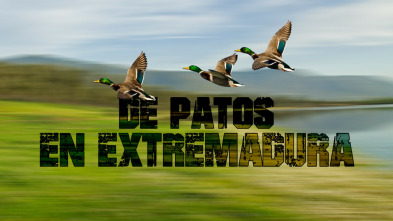 De patos en Extremadura