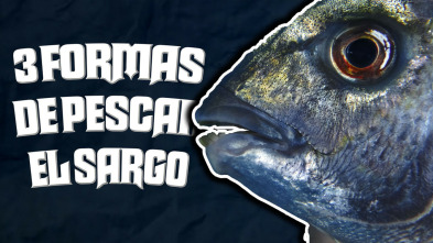 Imagen de Tres formas de pescar el sargo - 3