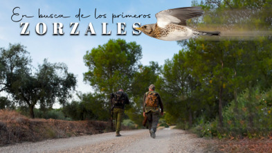 En busca de los primeros zorzales