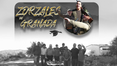 Imagen de Zorzales en Granada - 3