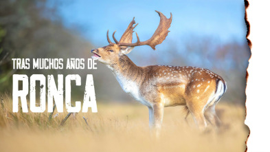 Tras muchos años de ronca en Segovia