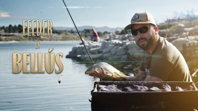 Feeder en Bellus