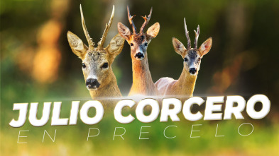 Julio Corcero