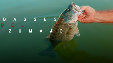 Basses del Zumajo
