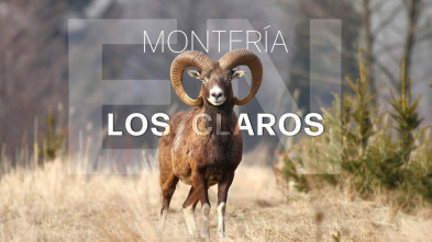 Montería en los claros