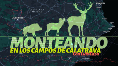 Monteando en los campos de Calatrava