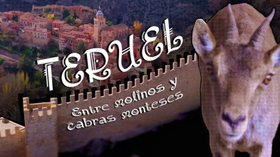 Imagen de Teruel entre molinos y cabras monteses - 3