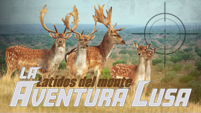 Montería San Marcos, la aventura lusa