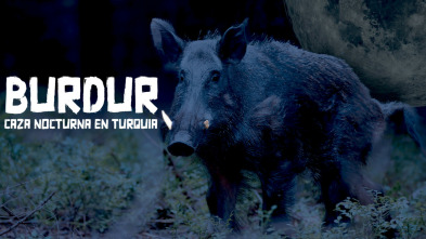 Burdur la caza nocturna con pulsar