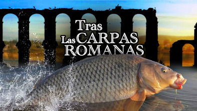 Imagen de Tras las carpas romanas - 3
