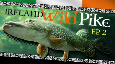 Wild pike ireland #2