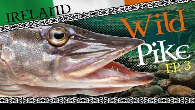 Wild Pike Ireland - capítulo final