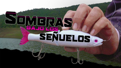 Imagen de Sombras bajo los señuelos - 3