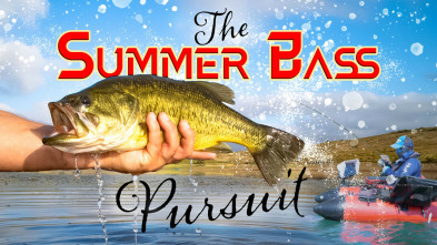 Imagen de The summer bass pursuit HD - 3