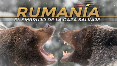 Imagen de Rumanía, el embrujo de la caza salvaje - 3