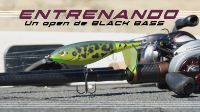 Imagen de Entrenando un Open de Blackbass - 3