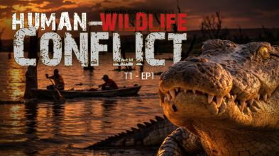 Imagen de Human and Wildlife Conflict Ep. 1 - 3