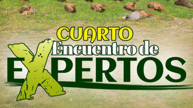 Imagen de ¡Quedada de expertos 2026! - 3