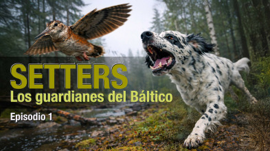 Imagen de Setters, los guardianes del Báltico - 3