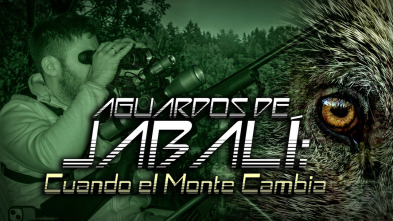 Imagen de Aguardos de jabalí, cuando el monte cambia - 3