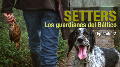 Imagen de Setters, los guardianes del Báltico - 3
