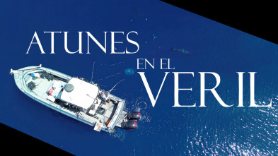 Imagen de Atunes en el veril - 3